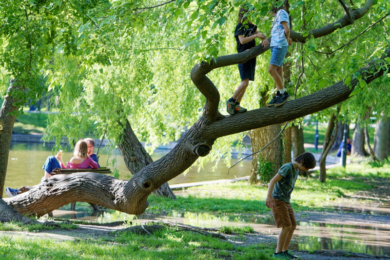 03 - Children playing in Cismigiu Park from Bucharest